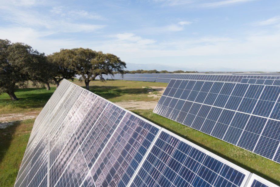 Solar farm