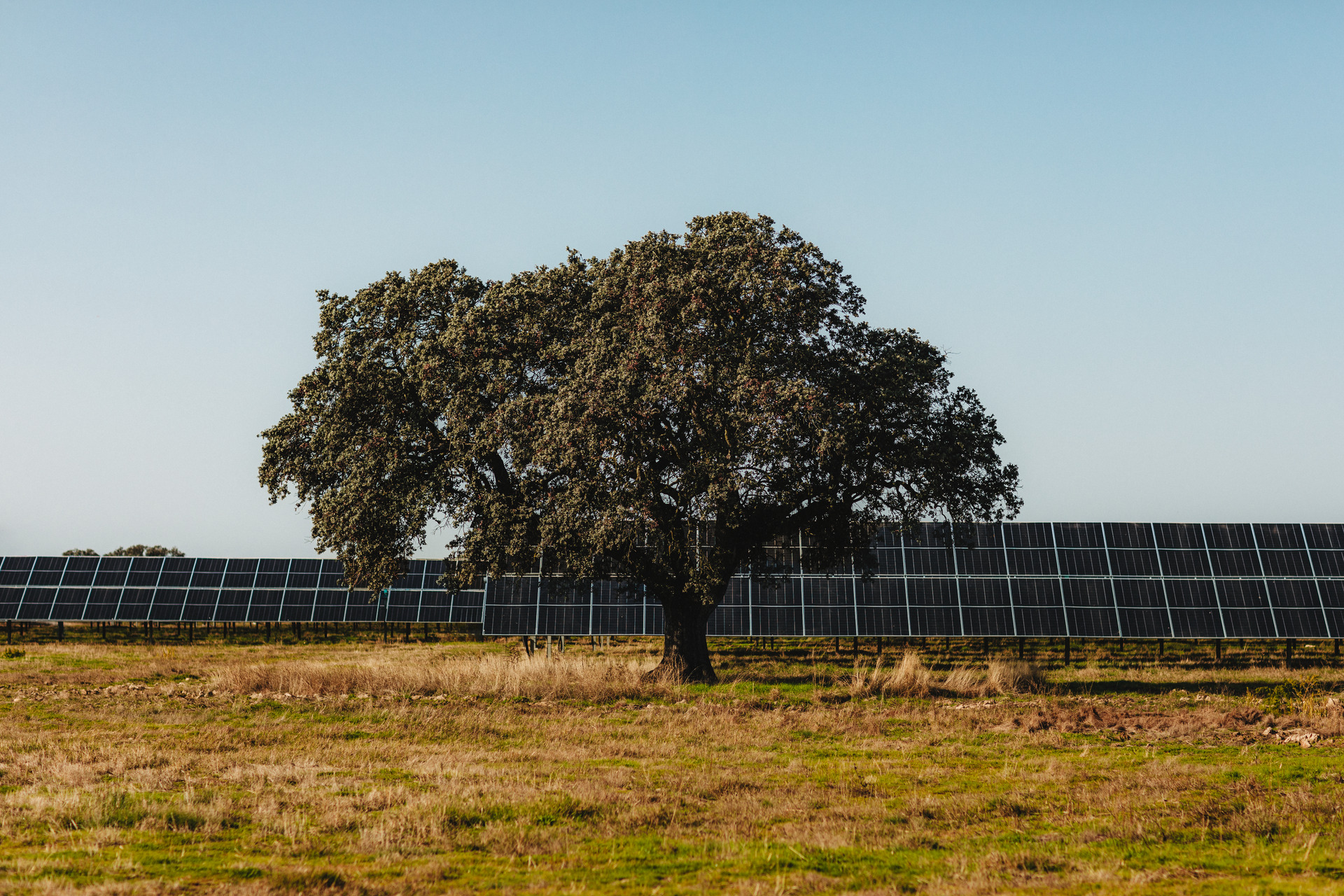 Slog Solar Consultation on new solar scheme