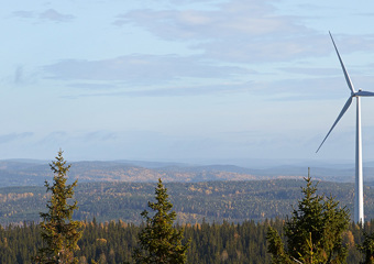 Wind turbines in a forest area