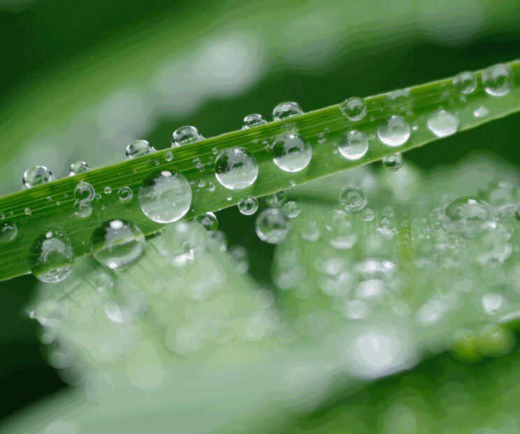 hydrogen-cta-2_750x620.jpg