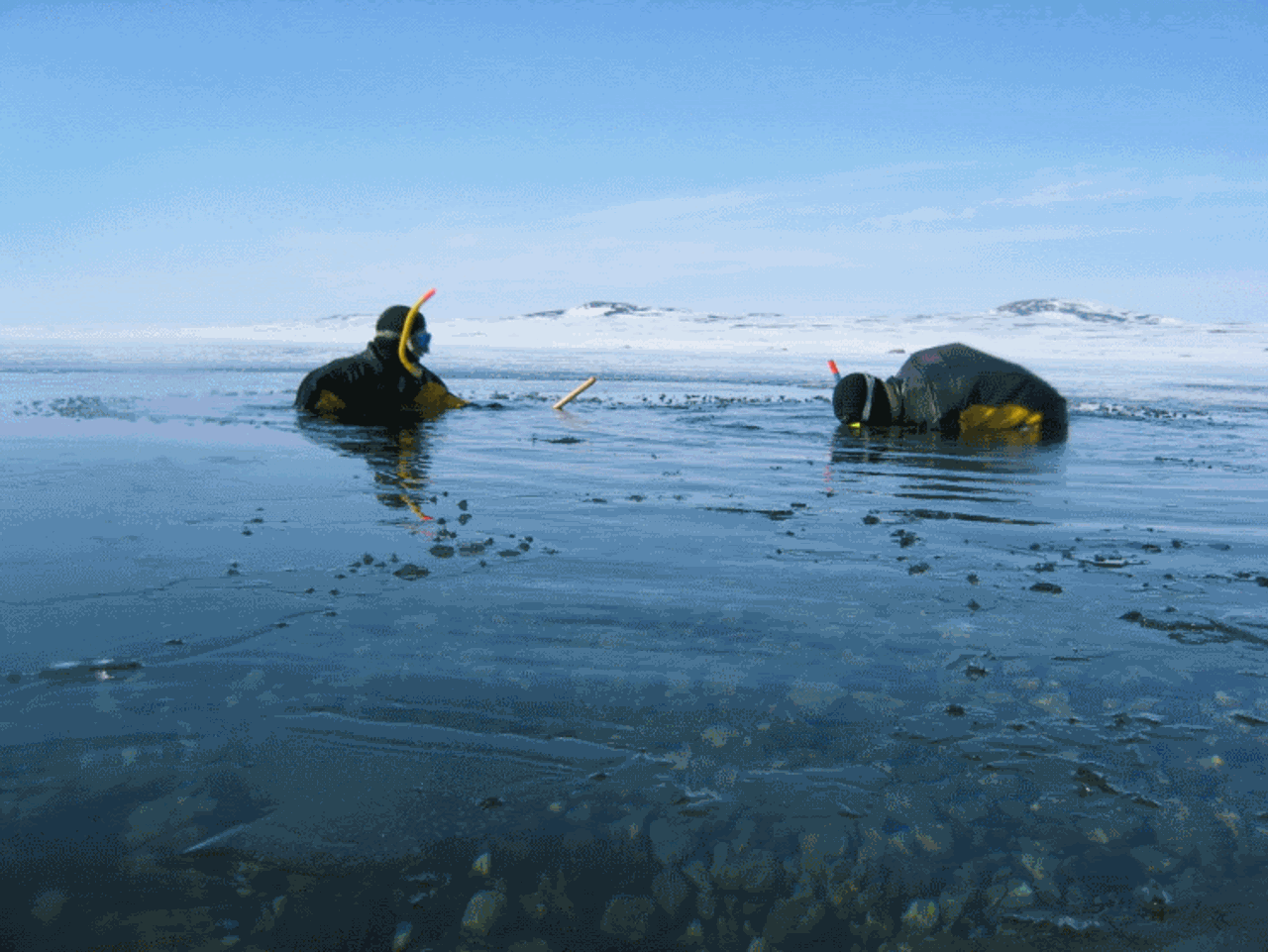 Scubadivers in mountain lake