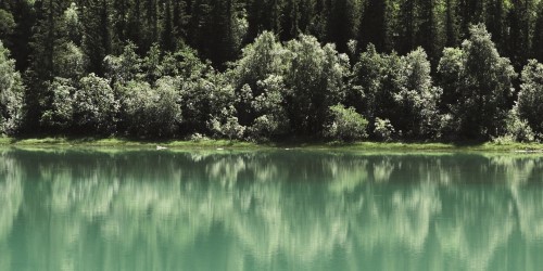 Trees and water