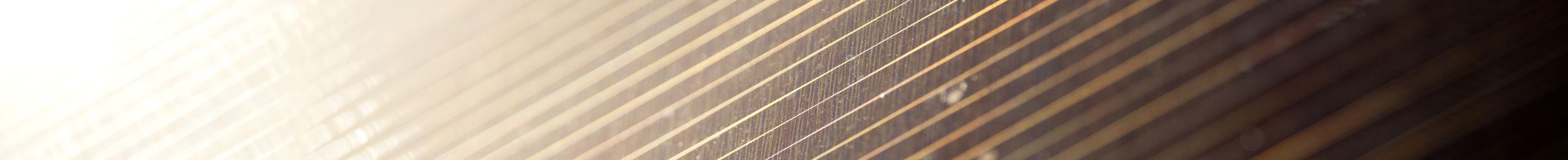 Sunshine on solar panel