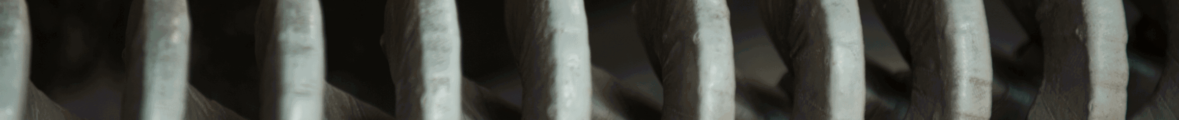 Detail image of power plant component