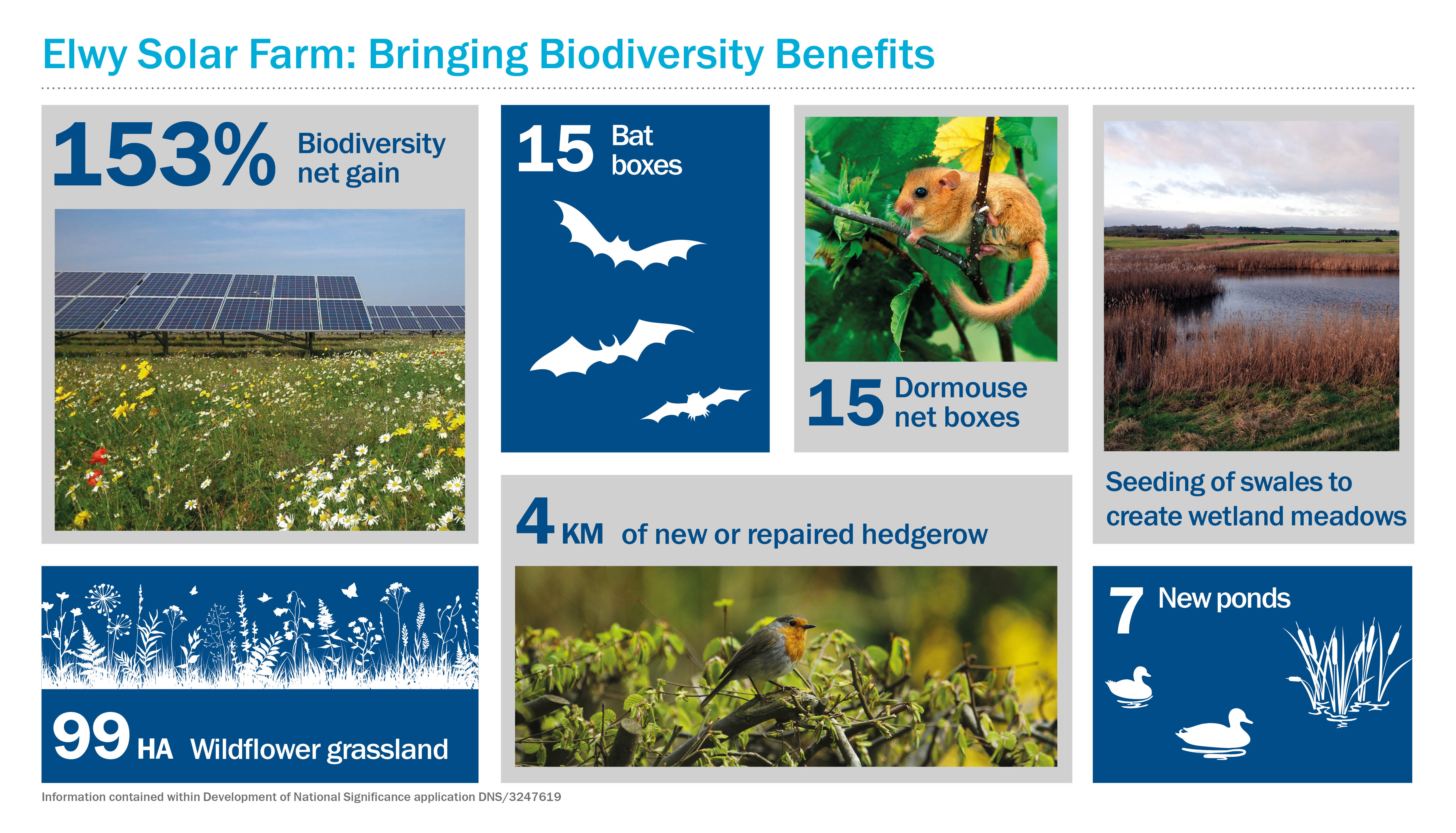 Graphic displaying key biodiversity enhancements of the project: 99HA of wildflower grassland, 4km of new or repaired hedgerows, 15 dormouse nest boxes, 15 bat boxes, 7 new ponds and seeding of drainage swales to create wetland meadows. 