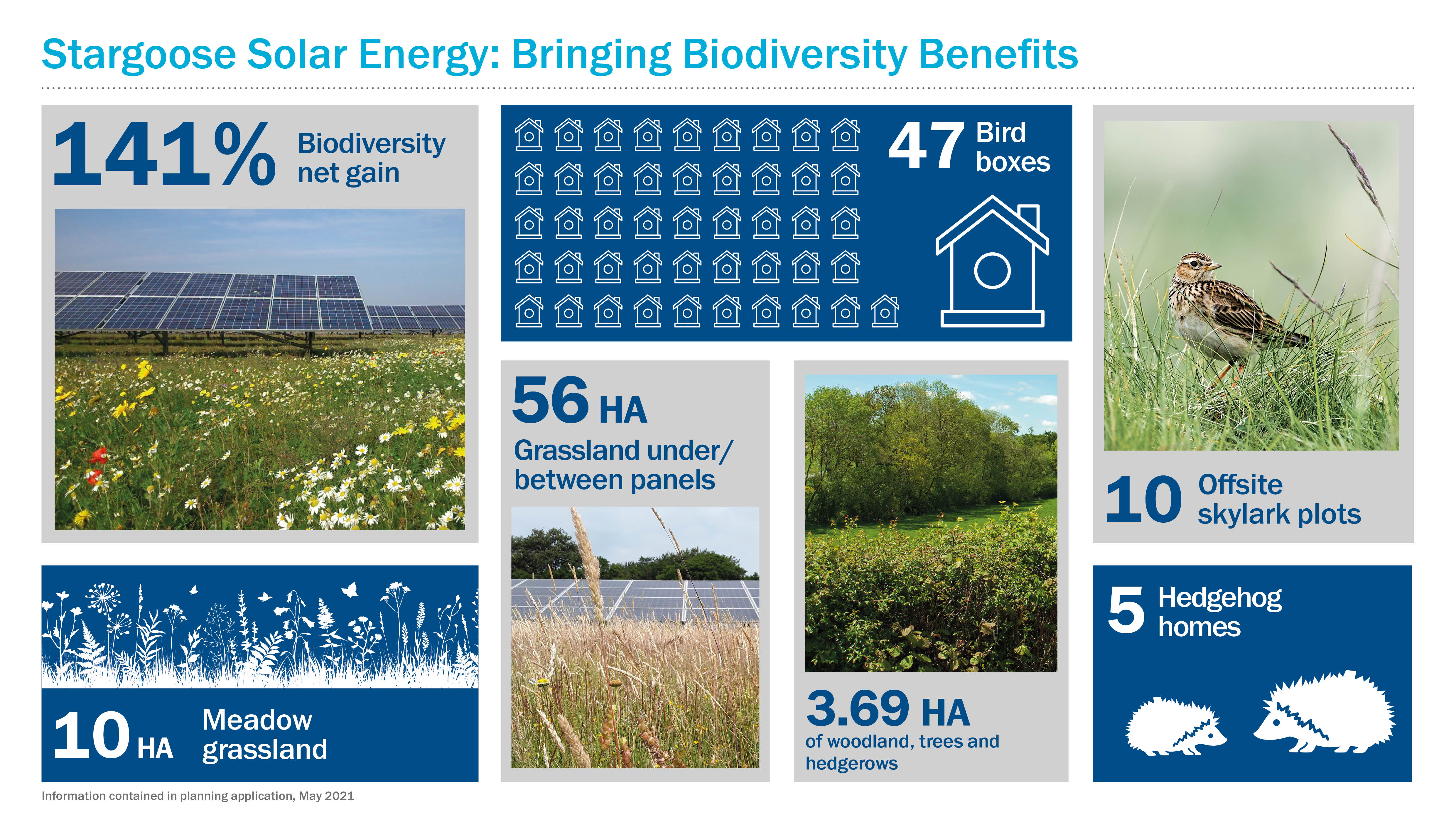 Graphic displaying key biodiversity enhancements of the project: 10HA of Meadow Grassland, 56HA of Grassland under or between panels, 3.69HA of woodlands, trees and hedgerows, 5 hedgehog homes, 47 birdboxes and 5 offsite Skylark polts