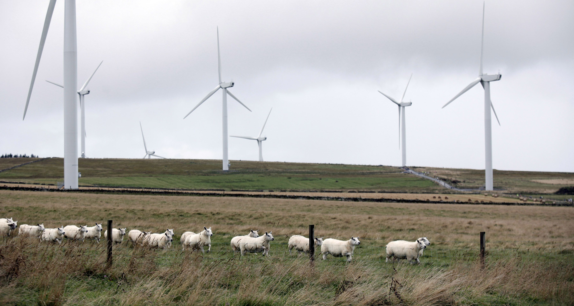 Baillie Wind Farm