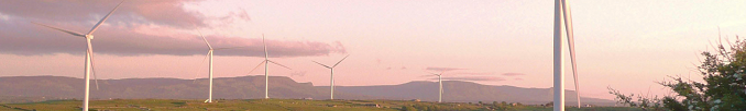 Wind farm in sunset